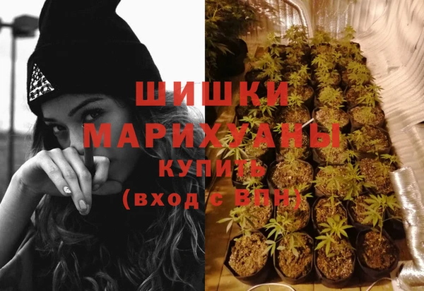 каннабис Пестово