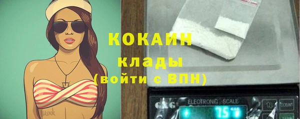 герыч Пересвет